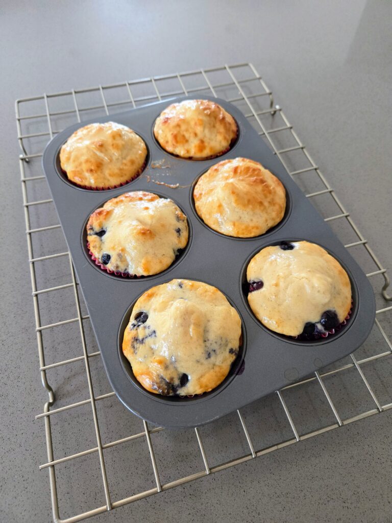 Protein Muffins
